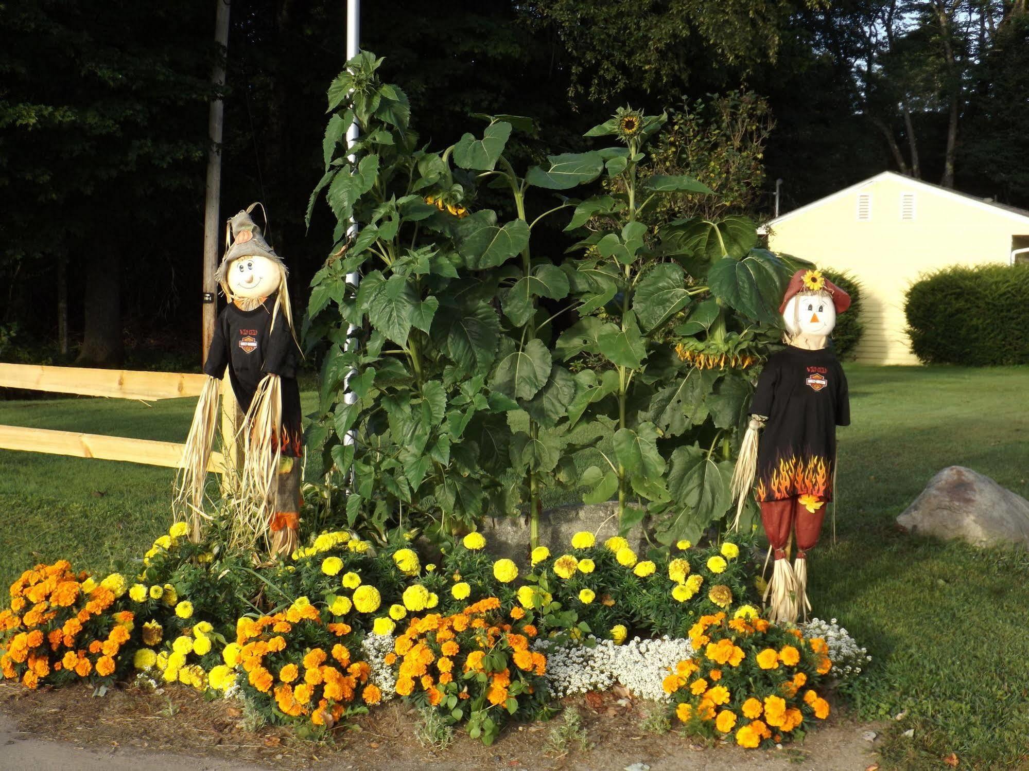 The Inn At The Rostay Bethel Esterno foto
